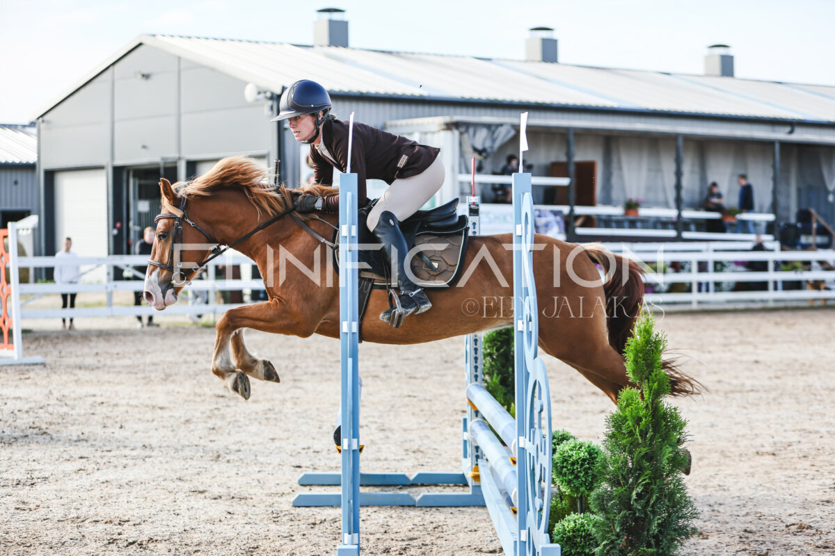 NHTS_2026_1_hc65-75cm_028
