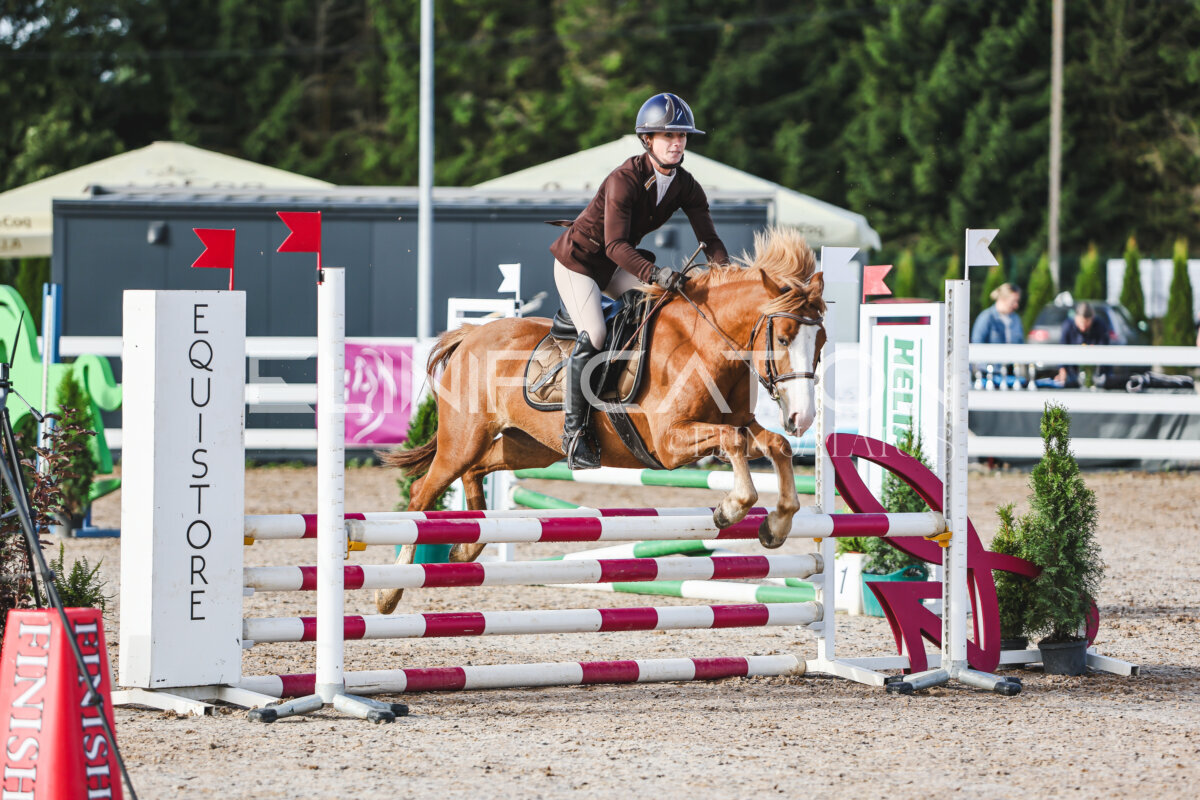 NHTS_2026_1_hc65-75cm_030