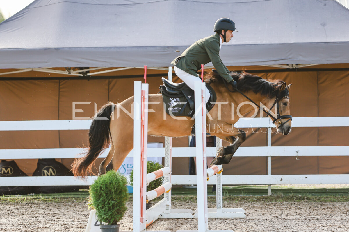 NHTS_2026_1_hc65-75cm_034