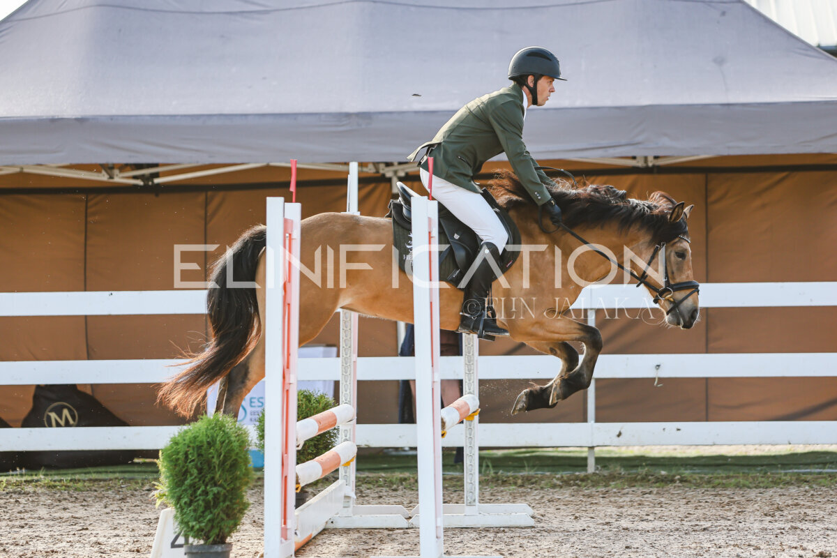 NHTS_2026_1_hc65-75cm_035