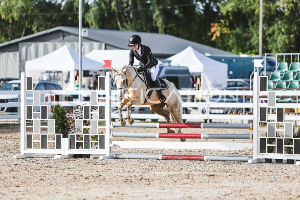 NHTS_2026_1_hc65-75cm_046