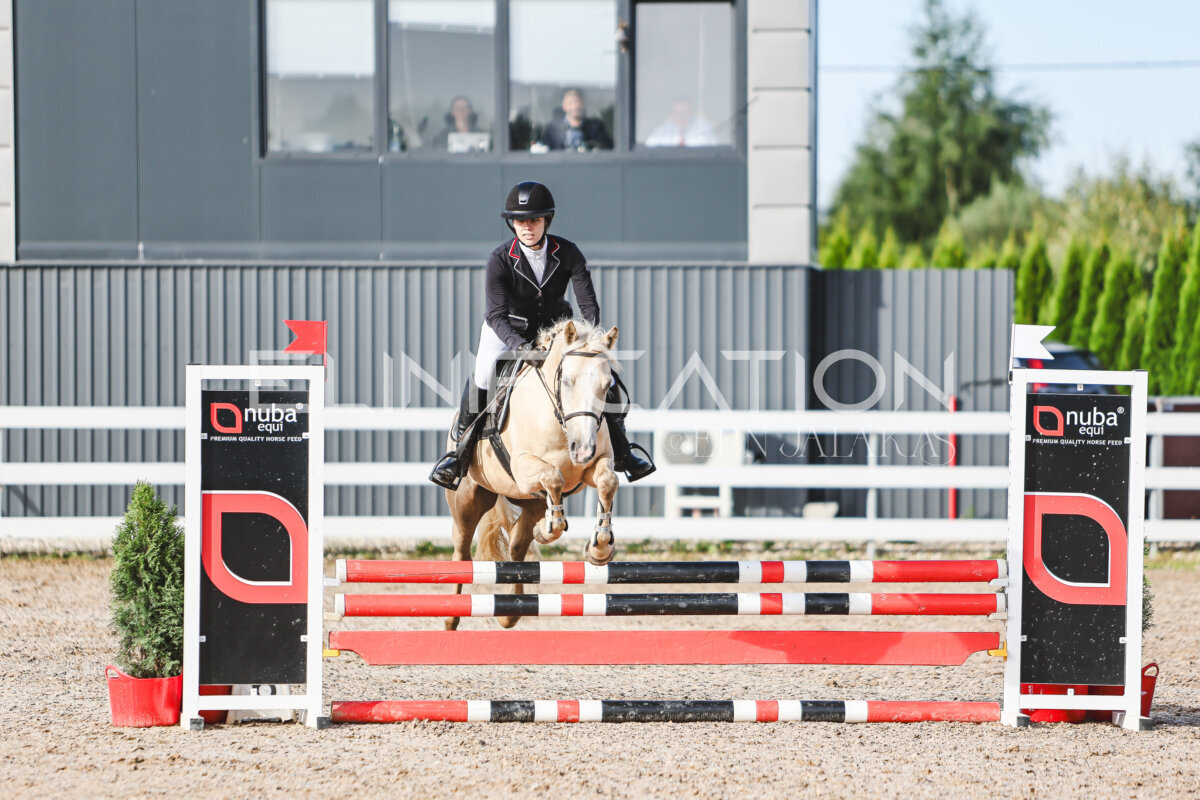 NHTS_2026_1_hc65-75cm_050
