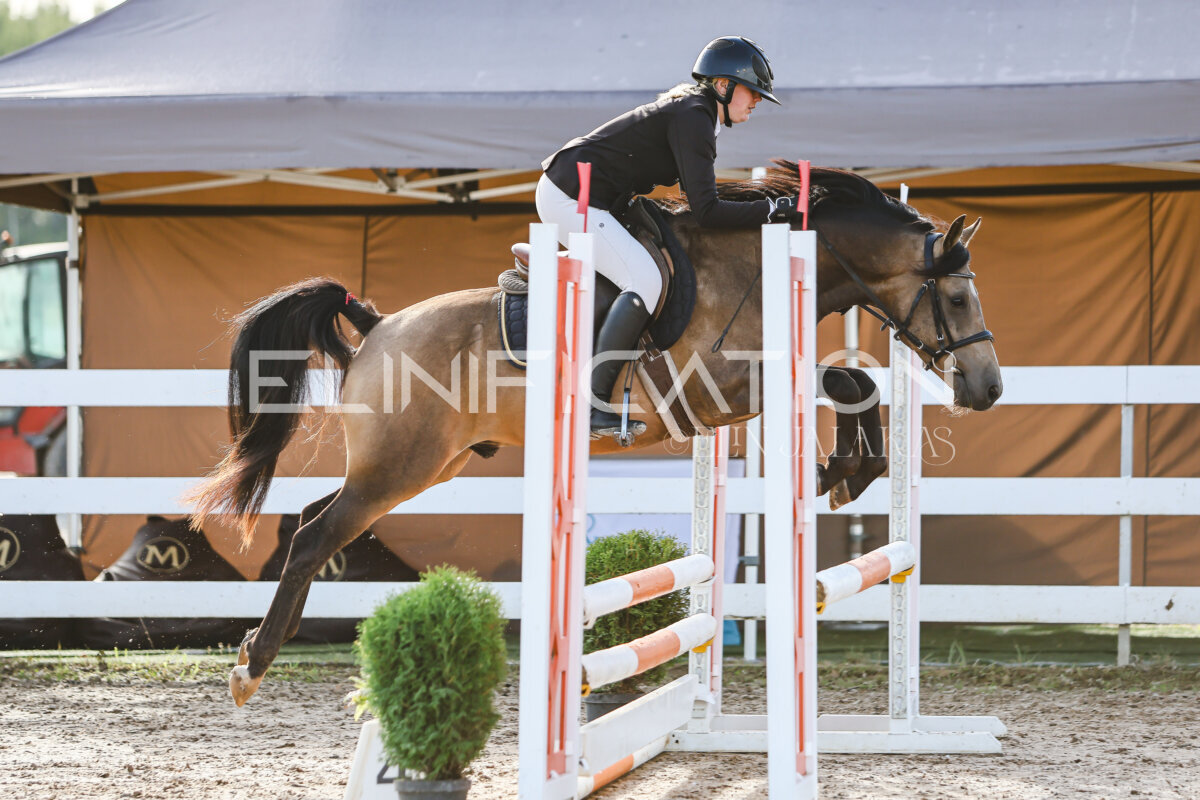 NHTS_2026_1_hc65-75cm_064