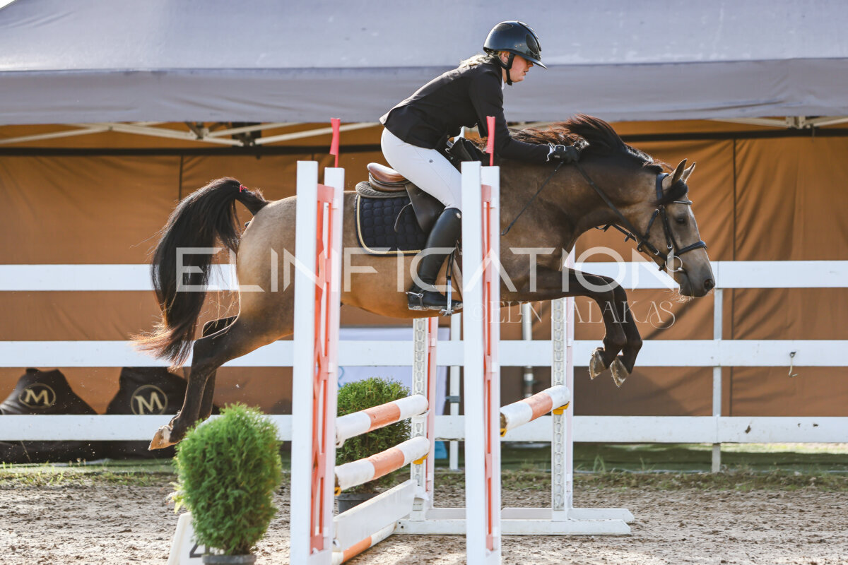 NHTS_2026_1_hc65-75cm_065