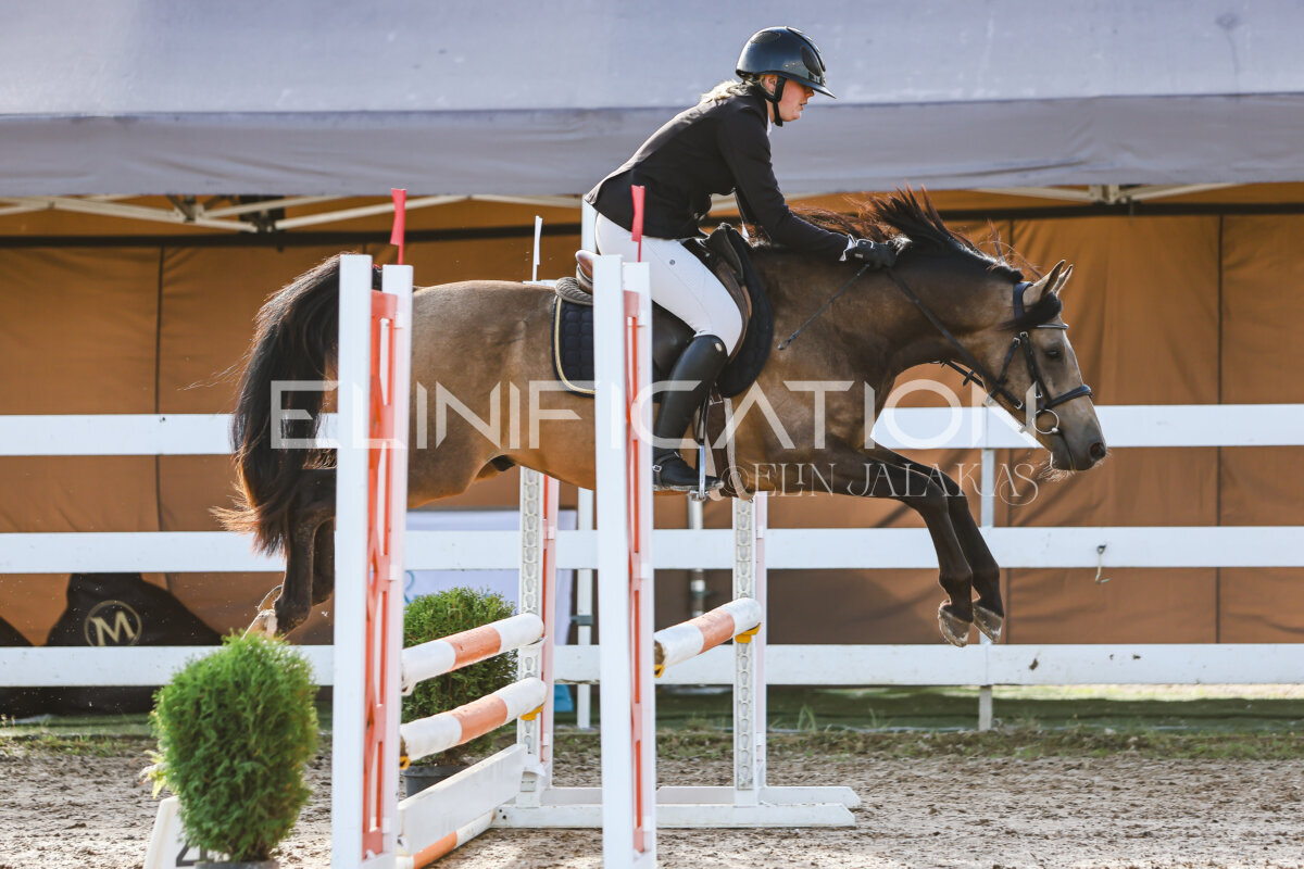 NHTS_2026_1_hc65-75cm_066