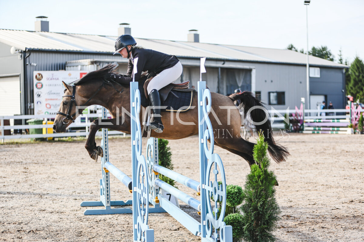 NHTS_2026_1_hc65-75cm_070