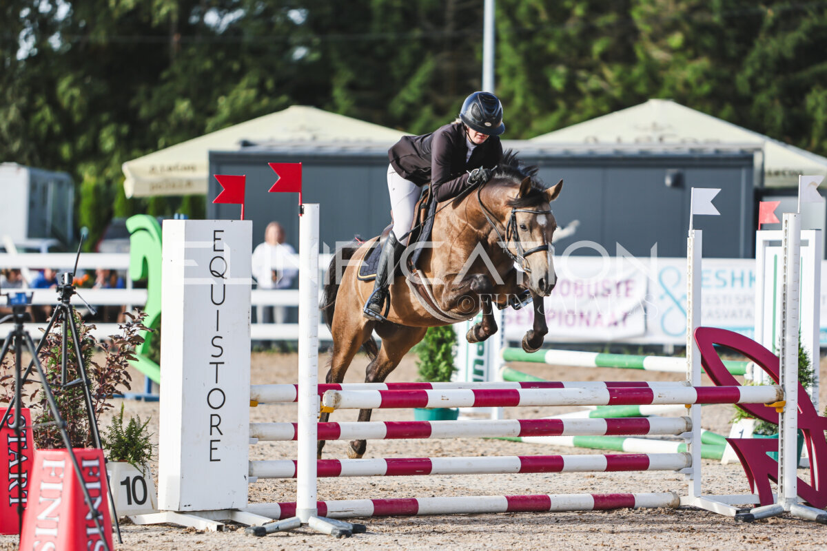 NHTS_2026_1_hc65-75cm_075