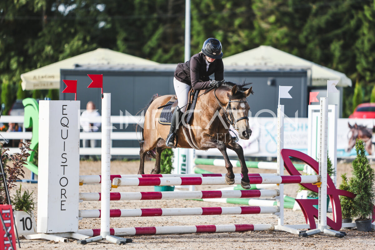 NHTS_2026_1_hc65-75cm_077