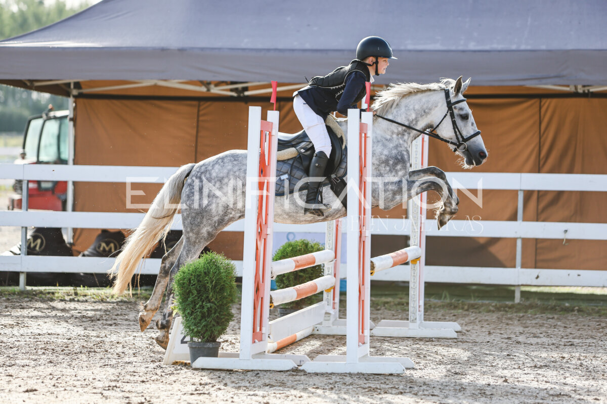 NHTS_2026_1_hc65-75cm_080