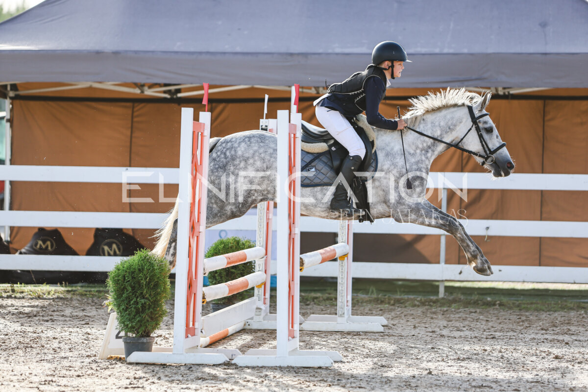 NHTS_2026_1_hc65-75cm_082