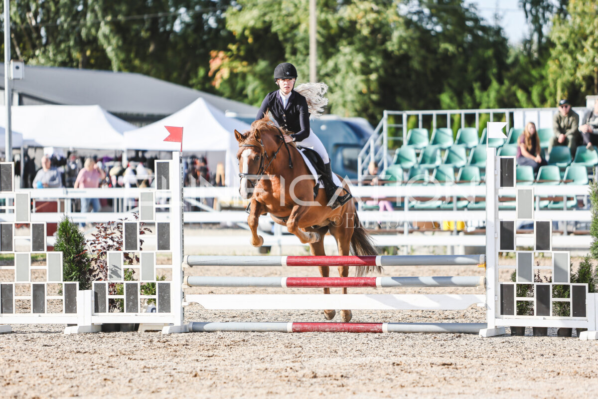 NHTS_2026_1_hc65-75cm_141