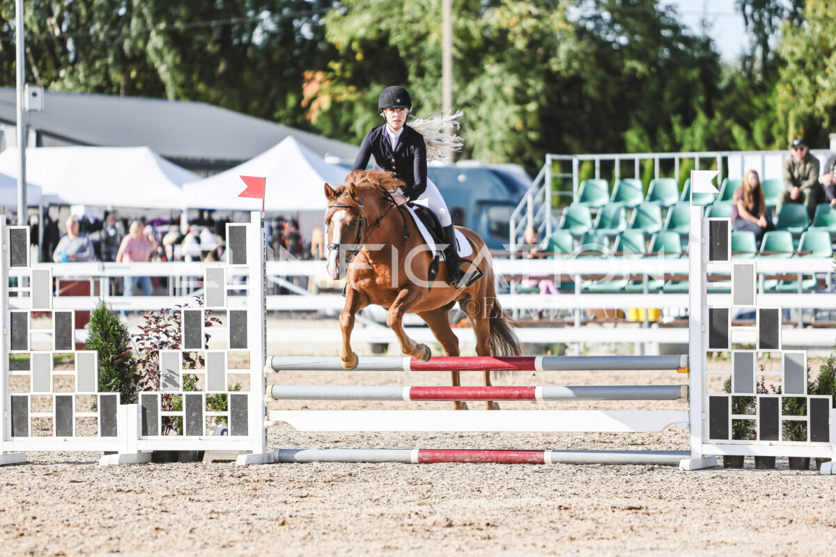 NHTS_2026_1_hc65-75cm_142