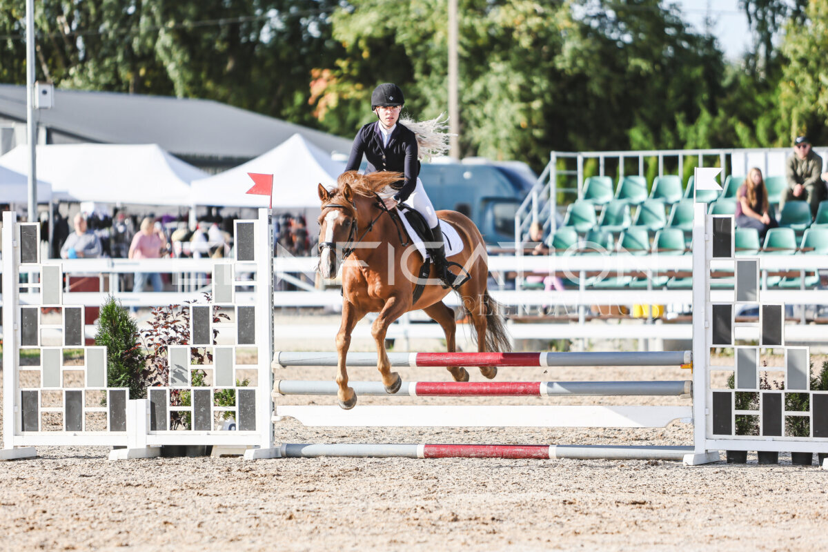 NHTS_2026_1_hc65-75cm_143