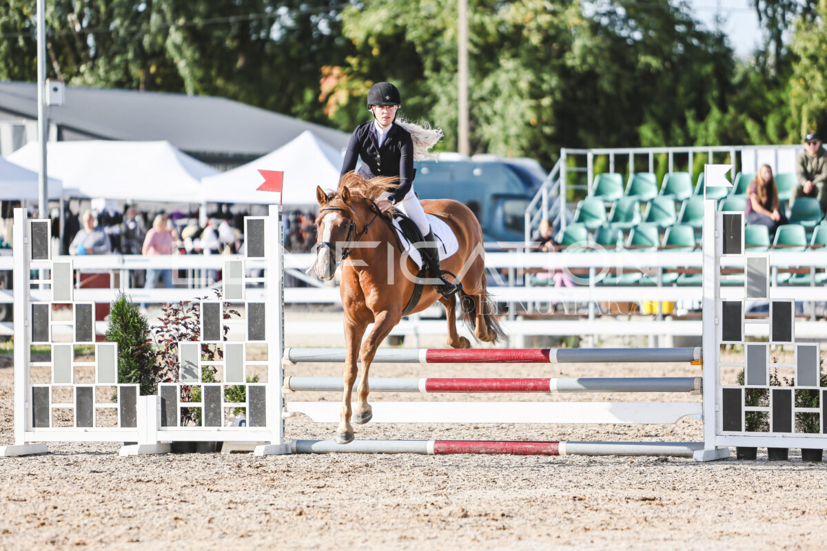 NHTS_2026_1_hc65-75cm_144