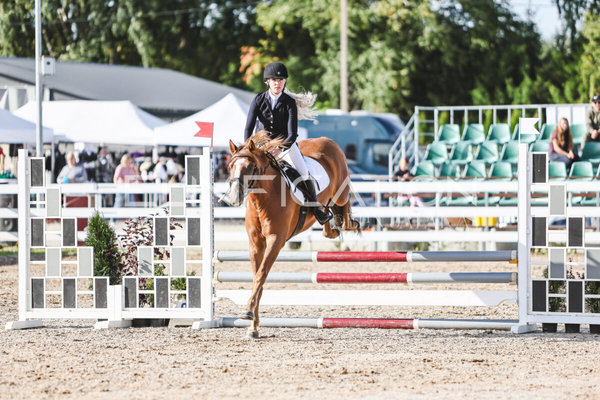 NHTS_2026_1_hc65-75cm_145