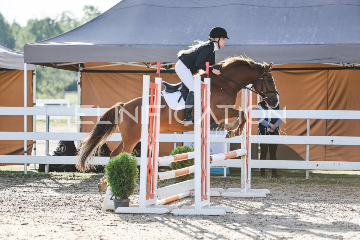 NHTS_2026_1_hc65-75cm_146