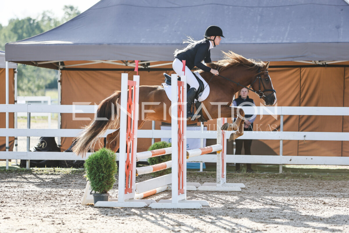 NHTS_2026_1_hc65-75cm_147