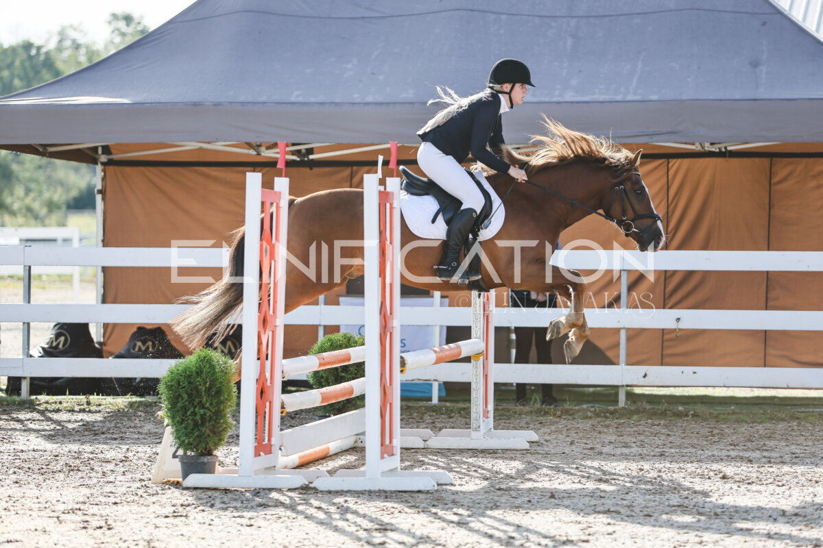 NHTS_2026_1_hc65-75cm_148