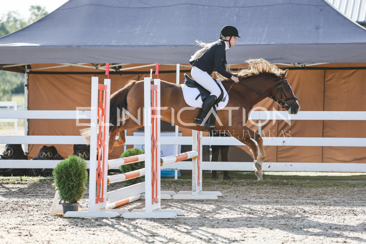 NHTS_2026_1_hc65-75cm_149