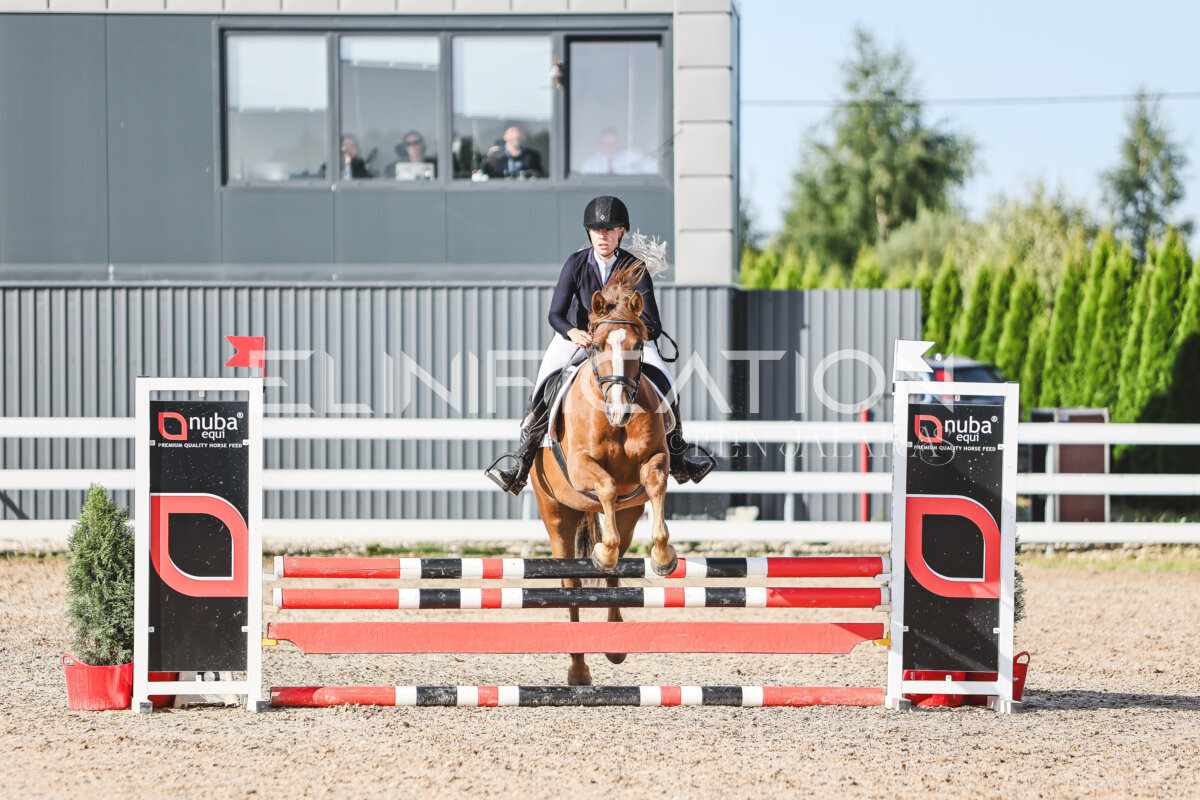 NHTS_2026_1_hc65-75cm_150