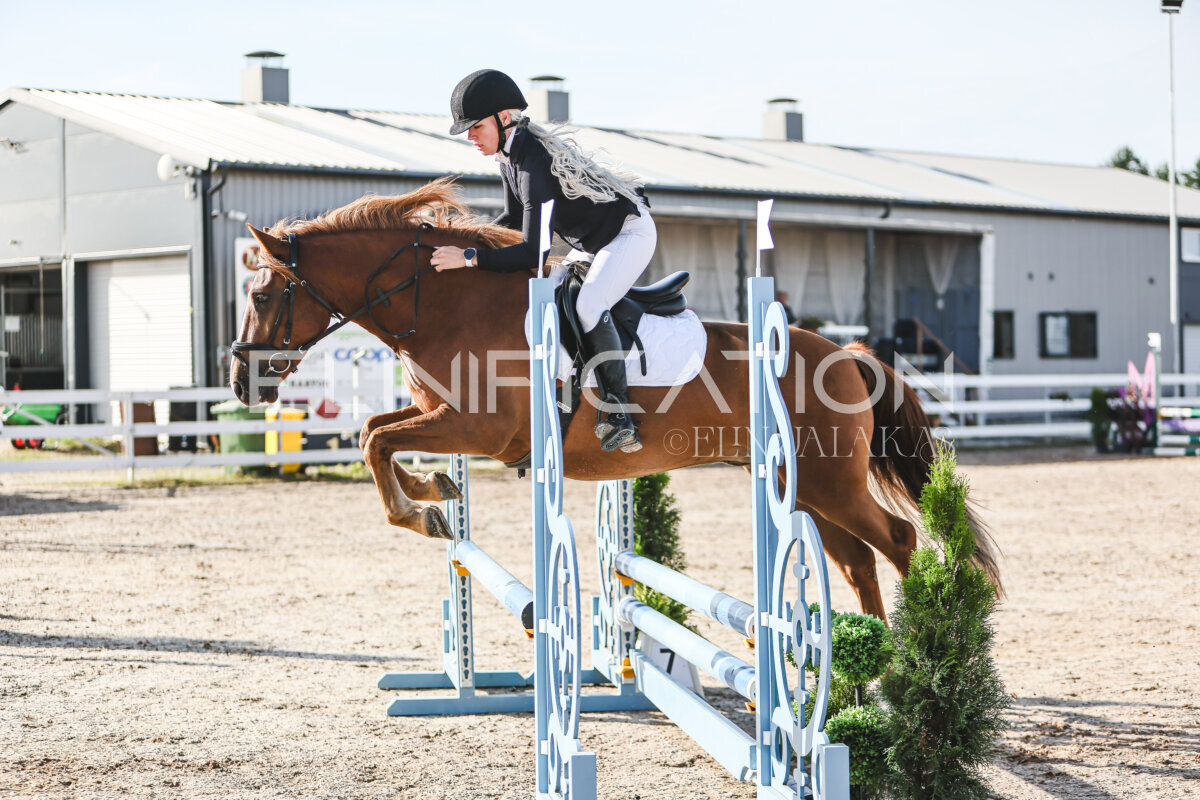 NHTS_2026_1_hc65-75cm_151