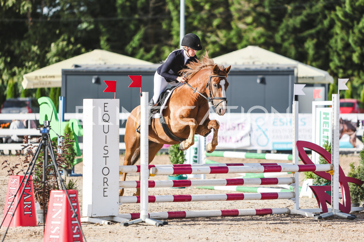 NHTS_2026_1_hc65-75cm_156