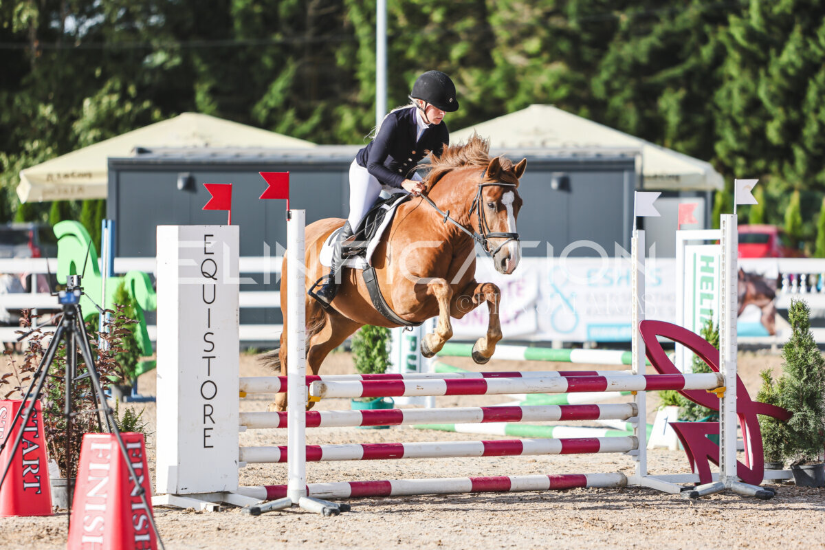 NHTS_2026_1_hc65-75cm_157
