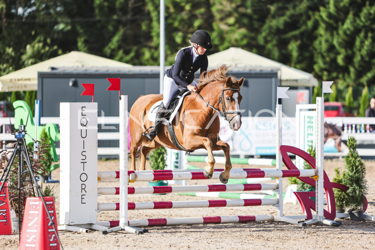 NHTS_2026_1_hc65-75cm_158