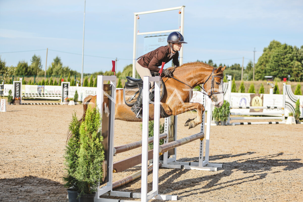 NHTS_2026_1_hc65-75cm_160