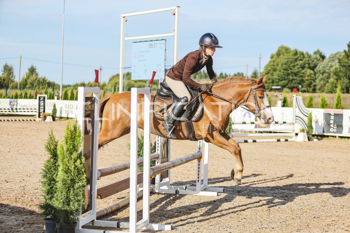 NHTS_2026_1_hc65-75cm_162