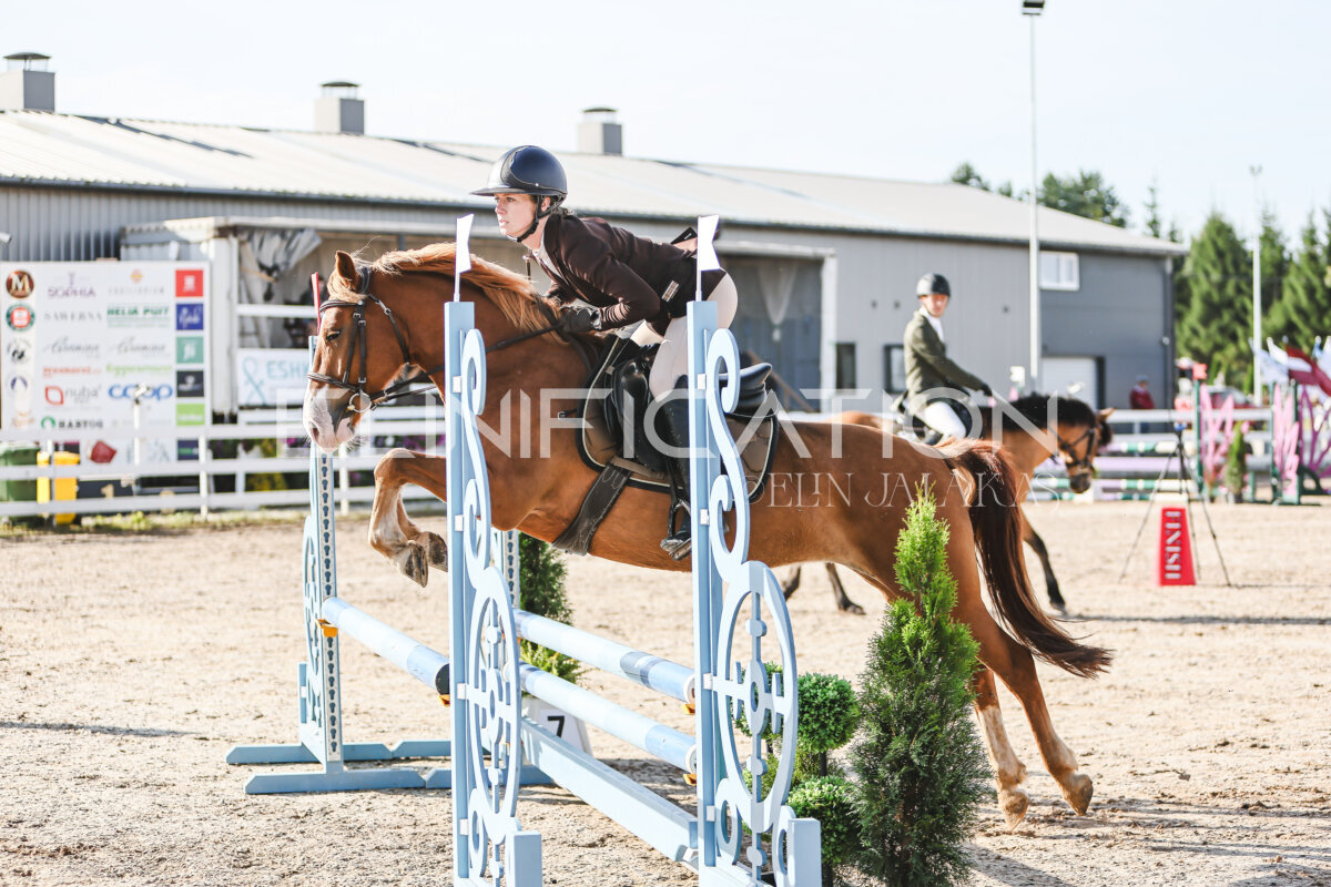 NHTS_2026_1_hc65-75cm_163