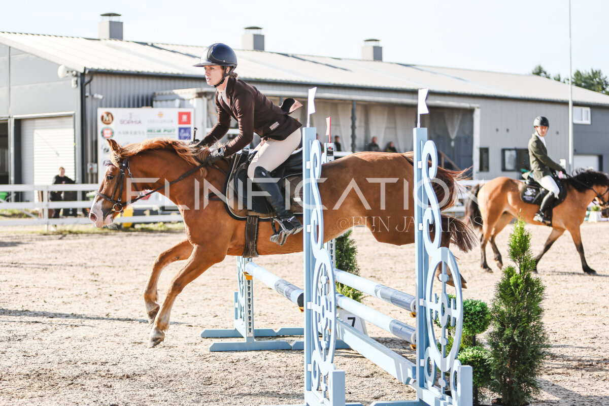 NHTS_2026_1_hc65-75cm_166