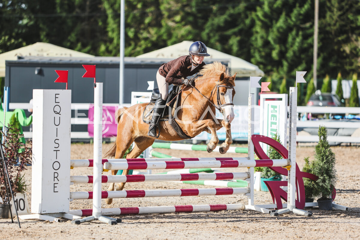 NHTS_2026_1_hc65-75cm_168