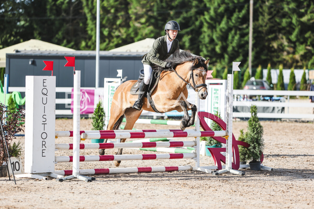 NHTS_2026_1_hc65-75cm_173