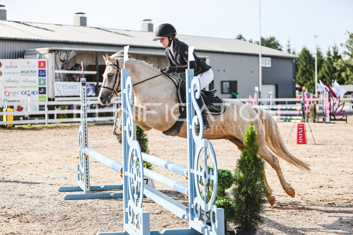 NHTS_2026_1_hc65-75cm_178