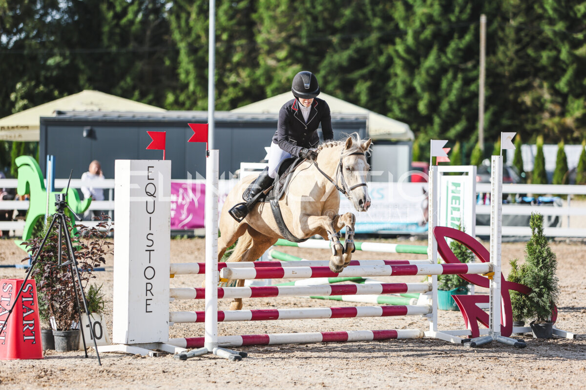 NHTS_2026_1_hc65-75cm_182
