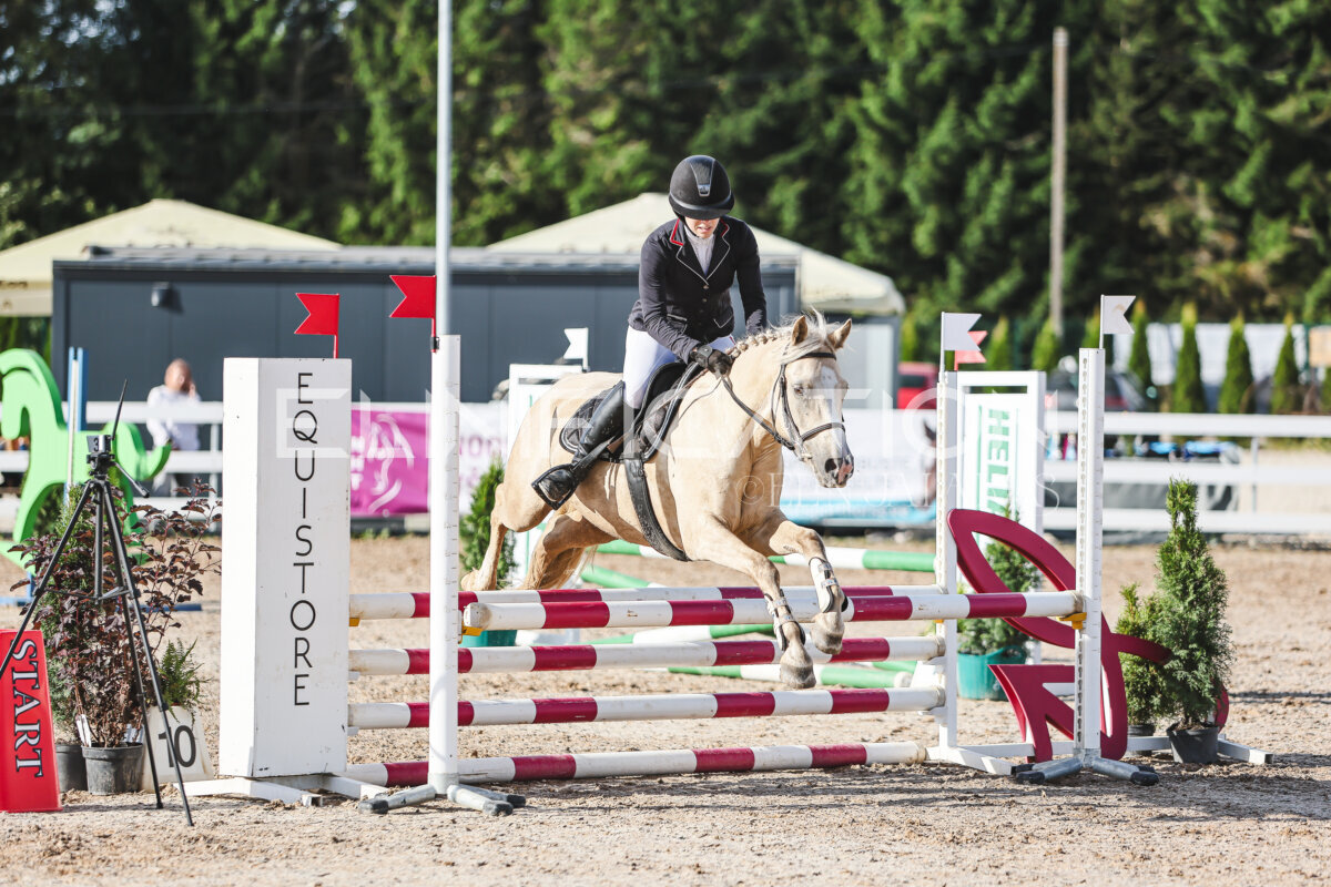 NHTS_2026_1_hc65-75cm_183