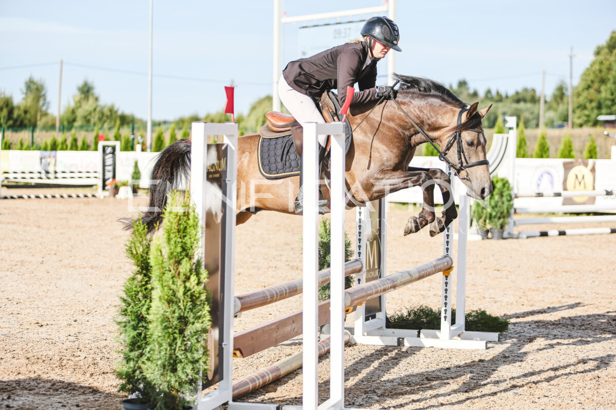 NHTS_2026_1_hc65-75cm_186