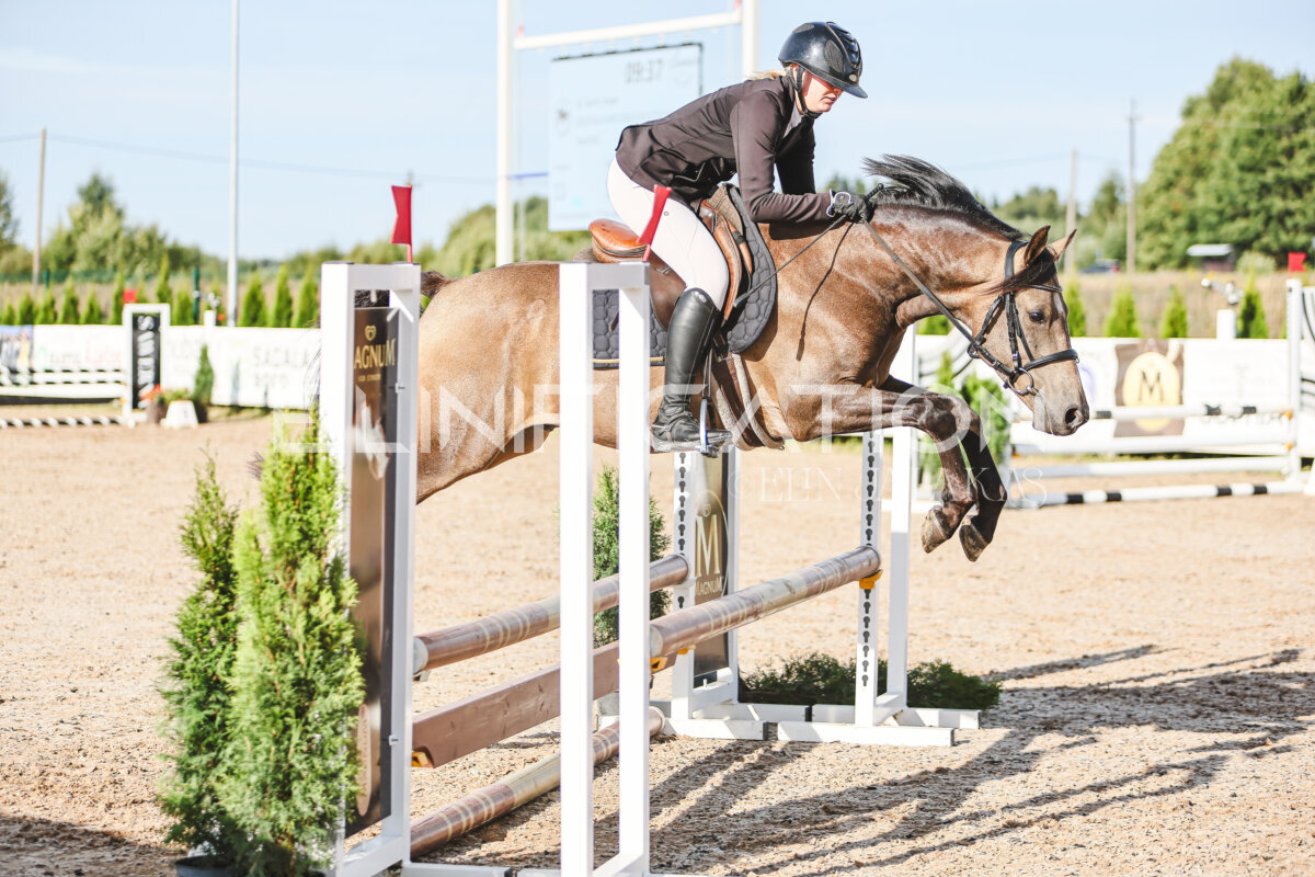 NHTS_2026_1_hc65-75cm_187