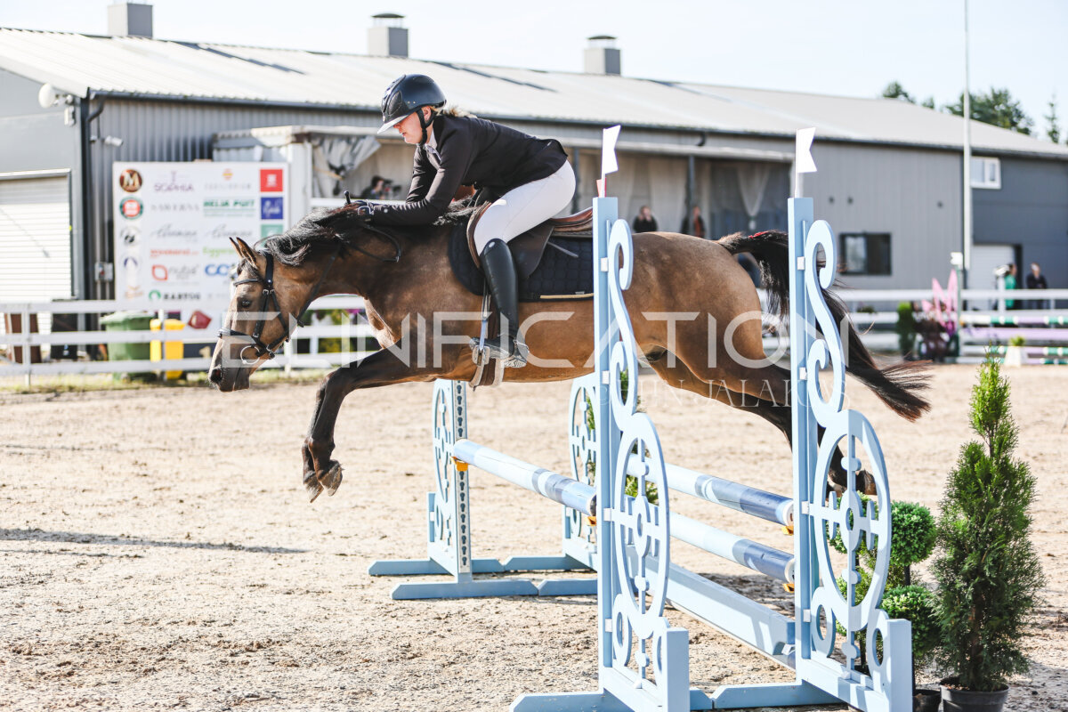 NHTS_2026_1_hc65-75cm_190