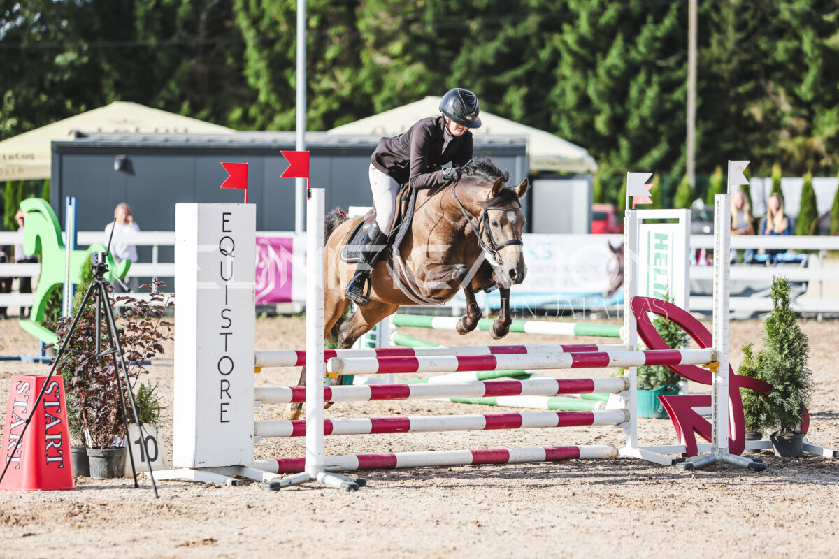NHTS_2026_1_hc65-75cm_191