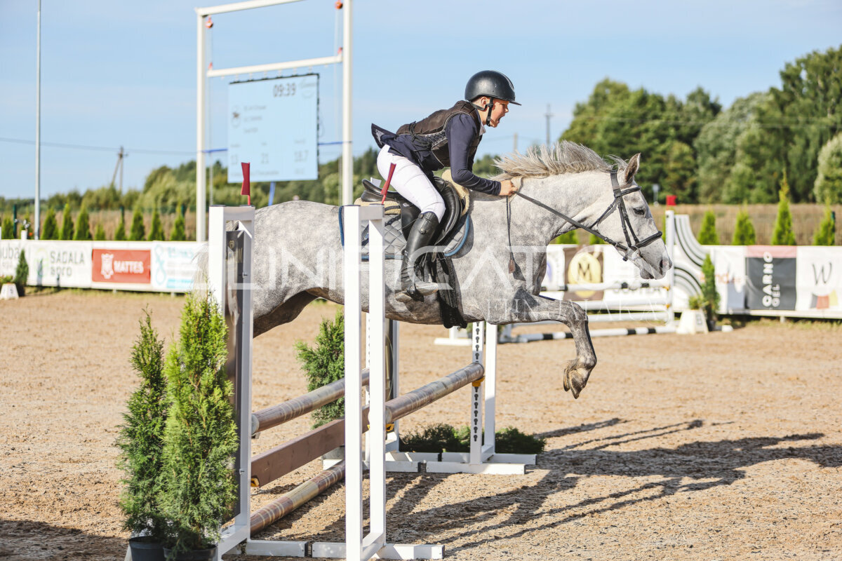 NHTS_2026_1_hc65-75cm_196