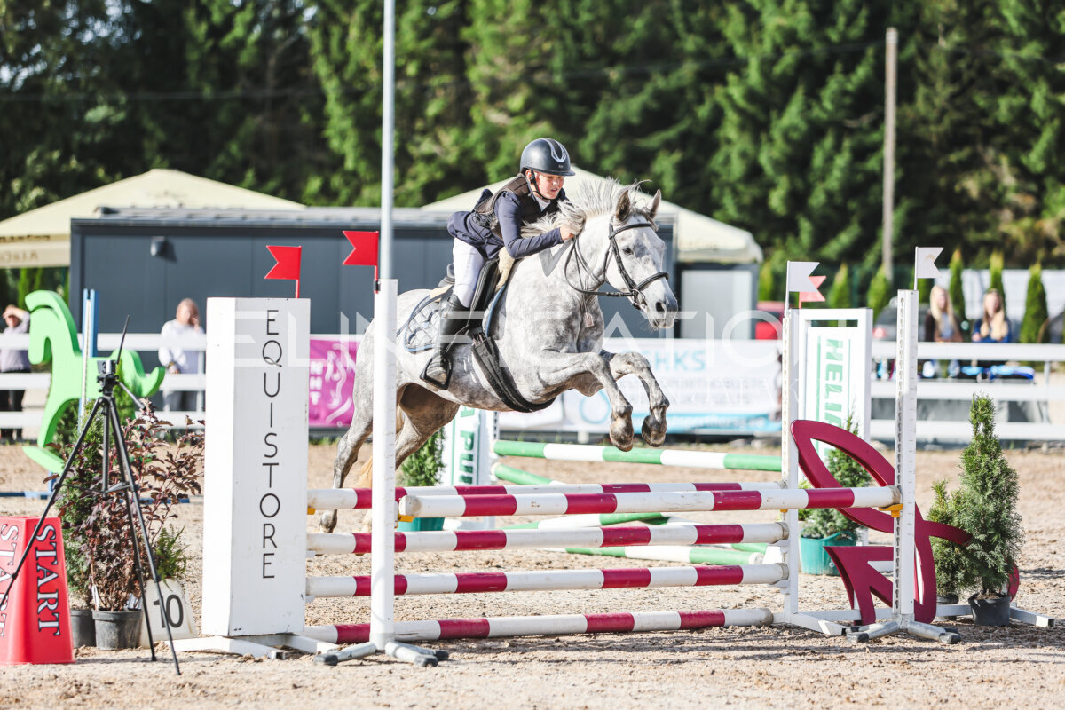 NHTS_2026_1_hc65-75cm_201