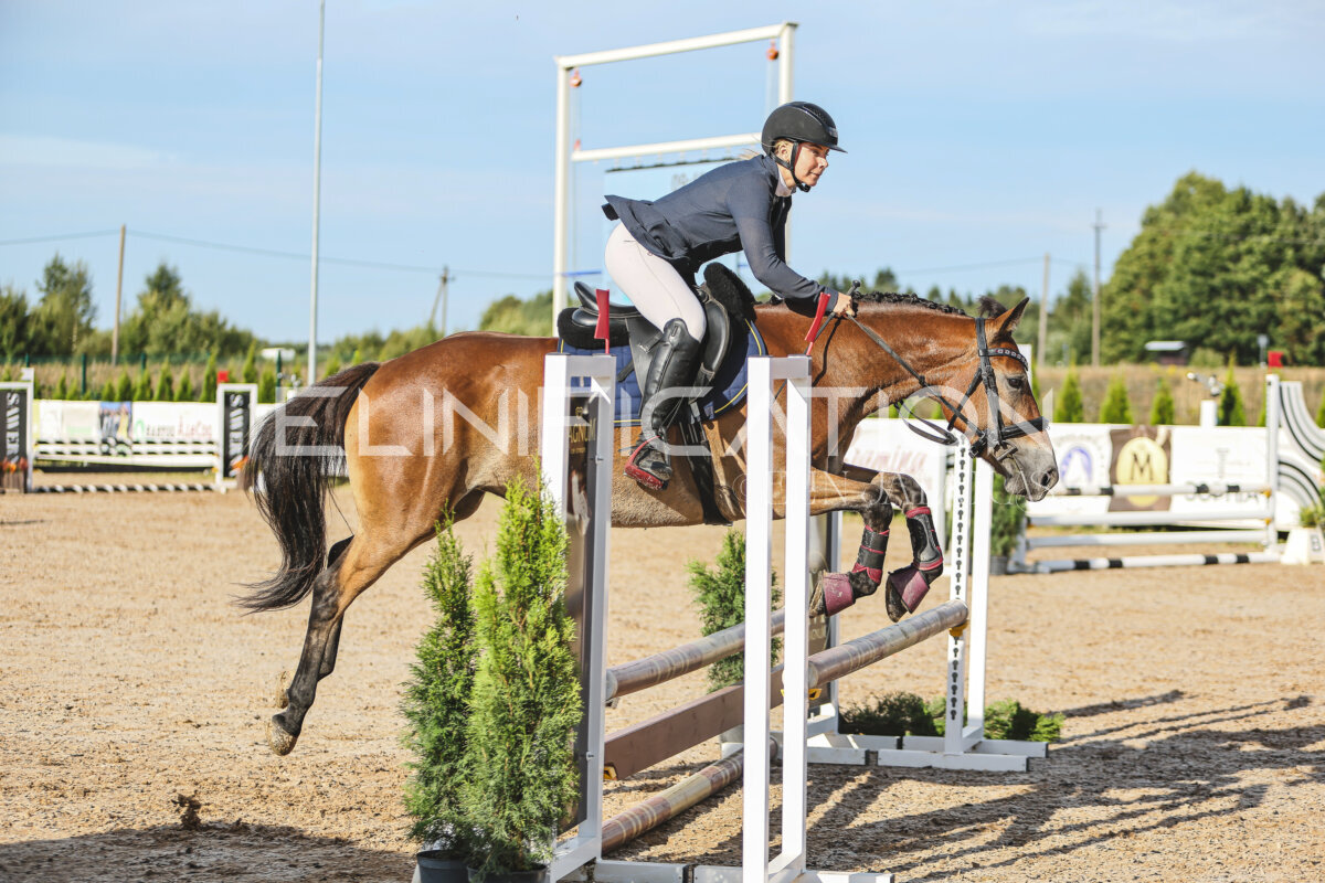 NHTS_2026_1_hc65-75cm_203