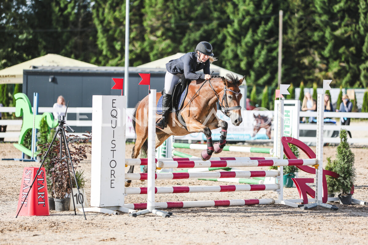 NHTS_2026_1_hc65-75cm_208