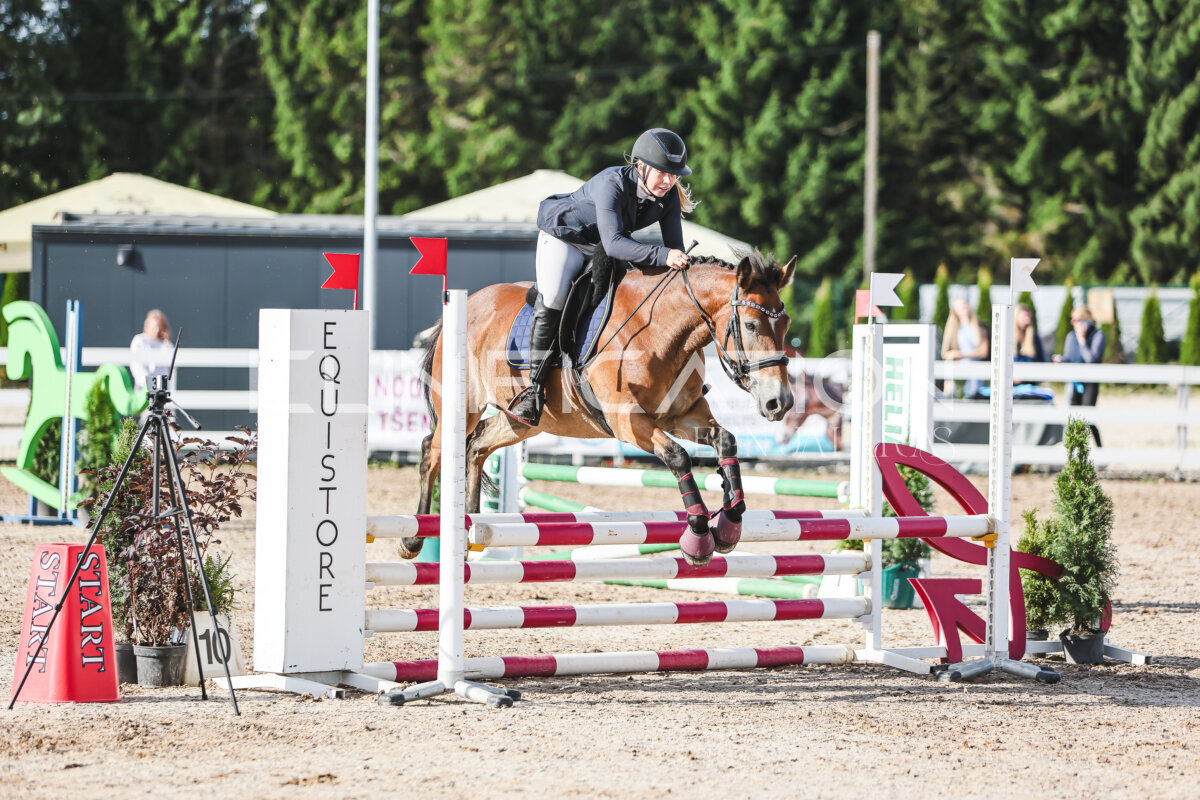 NHTS_2026_1_hc65-75cm_209