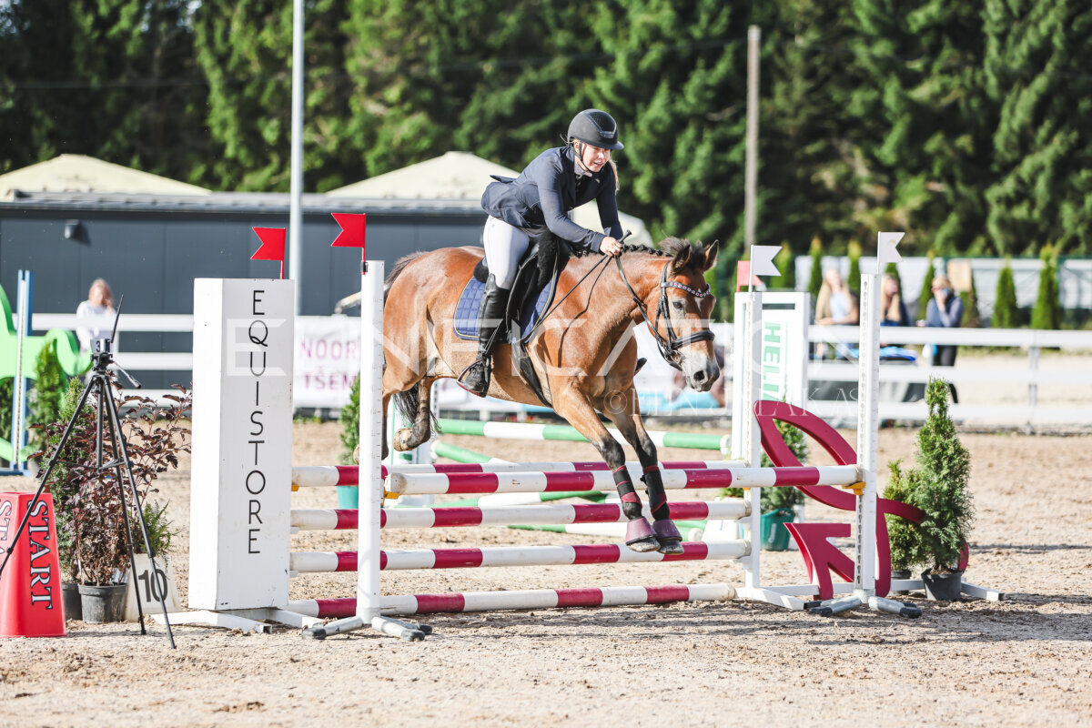 NHTS_2026_1_hc65-75cm_210