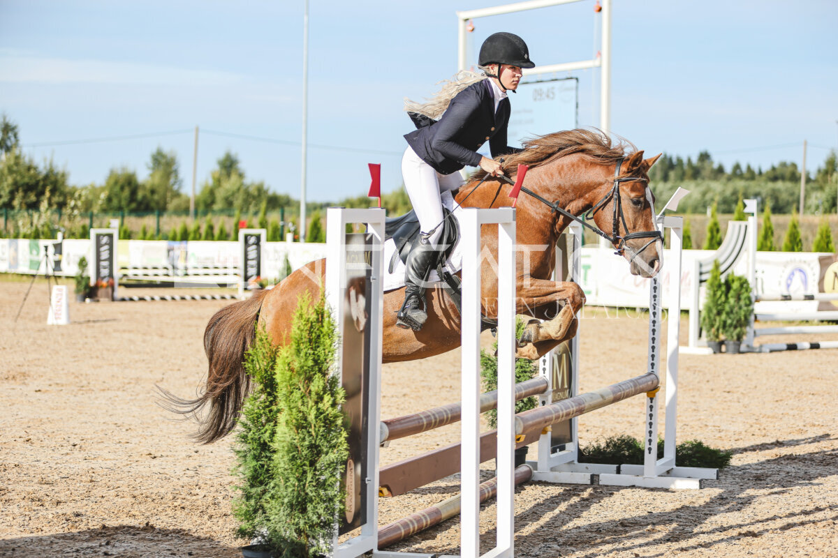 NHTS_2026_1_hc65-75cm_216