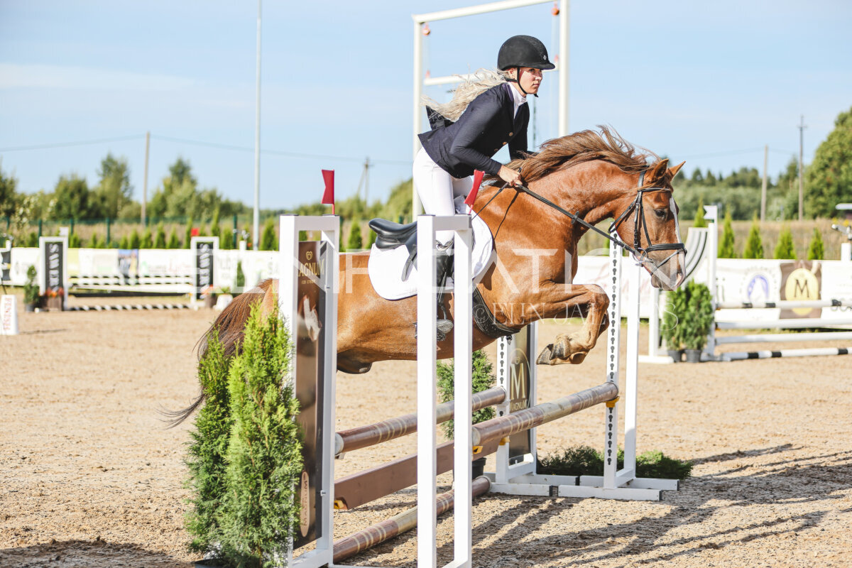 NHTS_2026_1_hc65-75cm_217