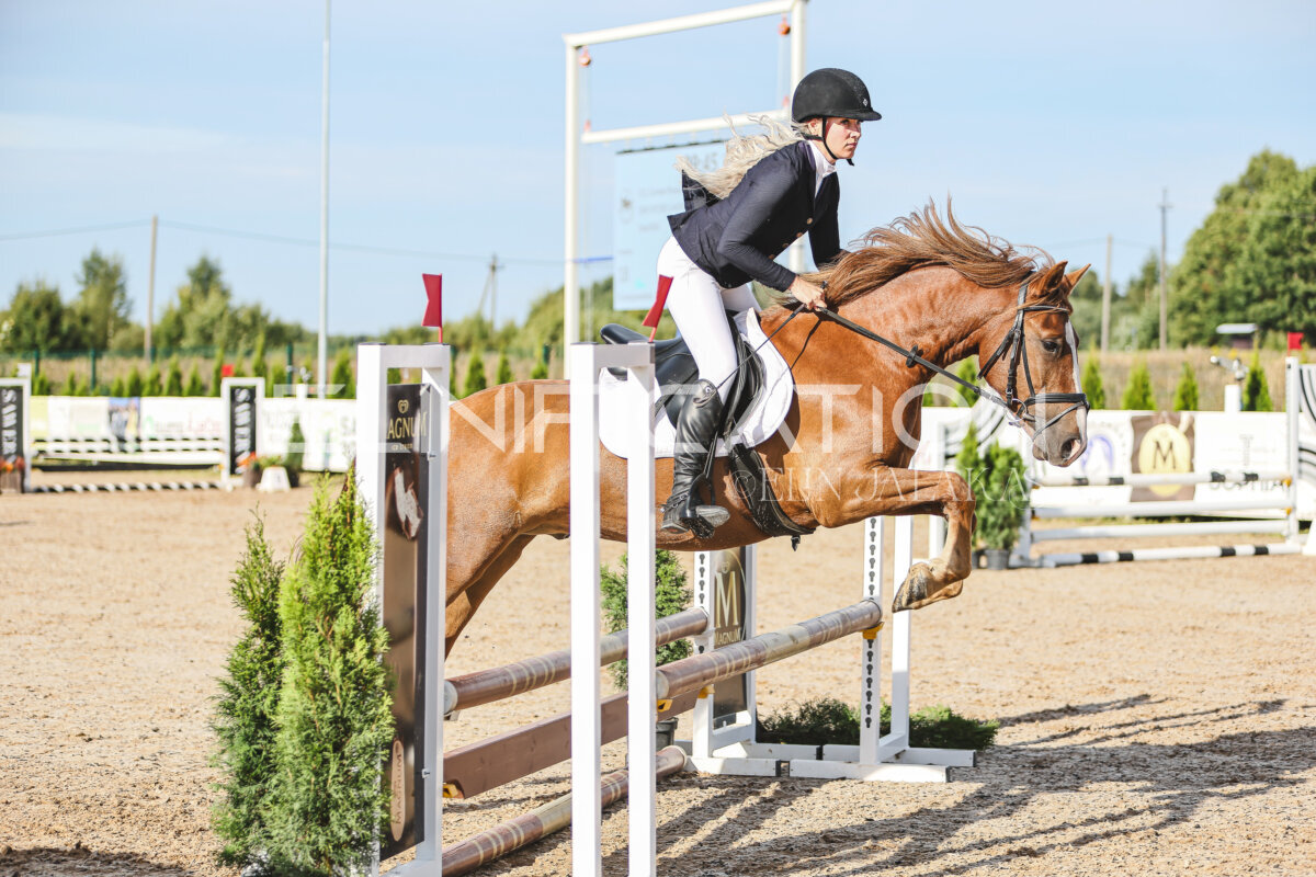 NHTS_2026_1_hc65-75cm_218